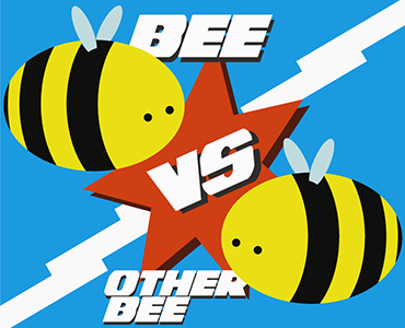 Bee vs Other Bee